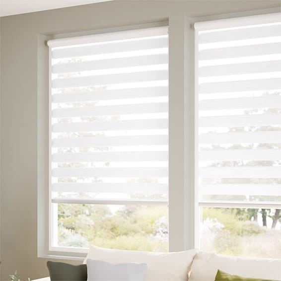 Zebra Double Layers Window Shades Blinds