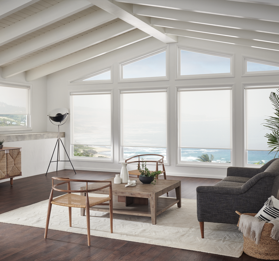 Roller Window Shades Blinds