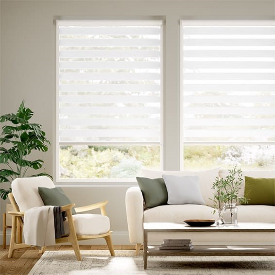 Zebra Double Layers Window Shades Blinds